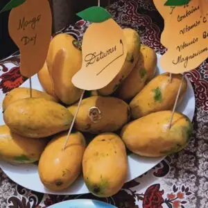 YM5D6201IT_25_IMG-20220805-WA0069